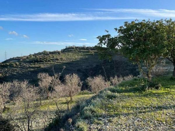 land for sale tsada paphos 1433962 image 5584267
