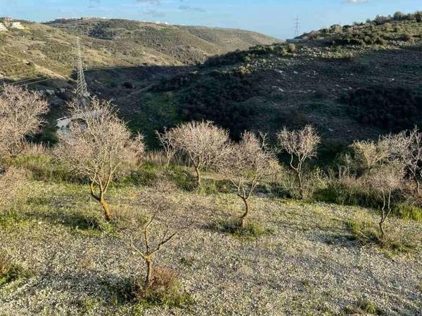 land for sale tsada paphos 1433962 image 5584277