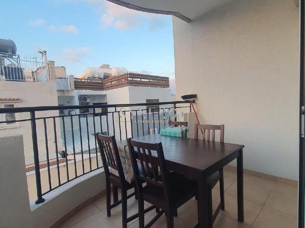 1 bedroom apartment for rent aglantzia nicosia 8792072 image 16692388