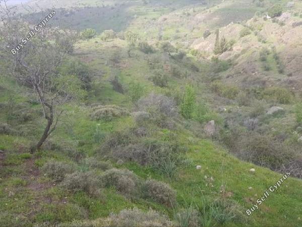 land for sale pentalia paphos 8659072 image 16278027