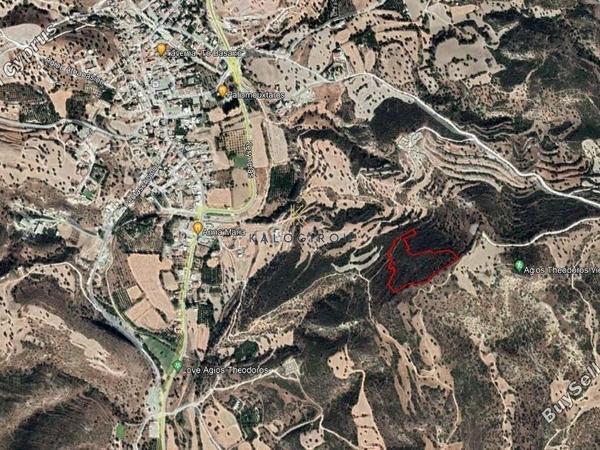 plot for sale agios theodoros larnacas larnaca 1195072 image 5575148