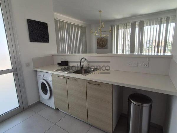 3 bedroom apartment for rent acropolis nicosia 8749172 image 16473167
