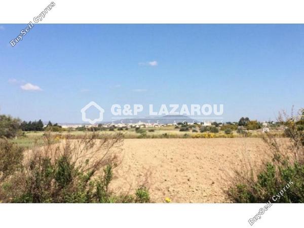 land for sale mazotos larnaca 1688172 image 14152373