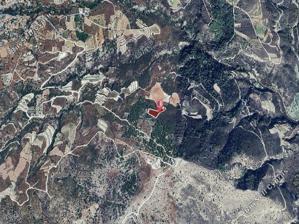 land for sale mesana paphos 1286172 image 16512487