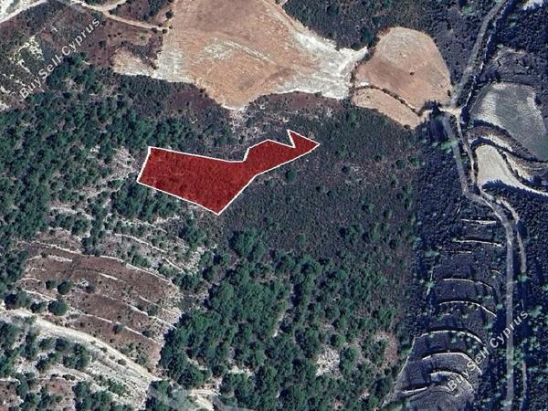 land for sale mesana paphos 1286172 image 16512488