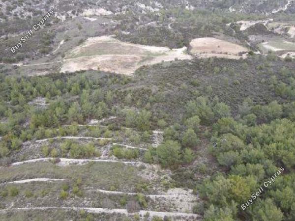 land for sale mesana paphos 1286172 image 16512489