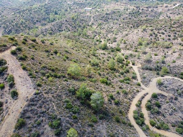 land for sale ora larnaca 8716172 image 16294734