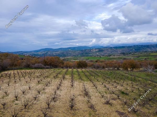 land for sale stroumbi paphos 1648172 image 16009391