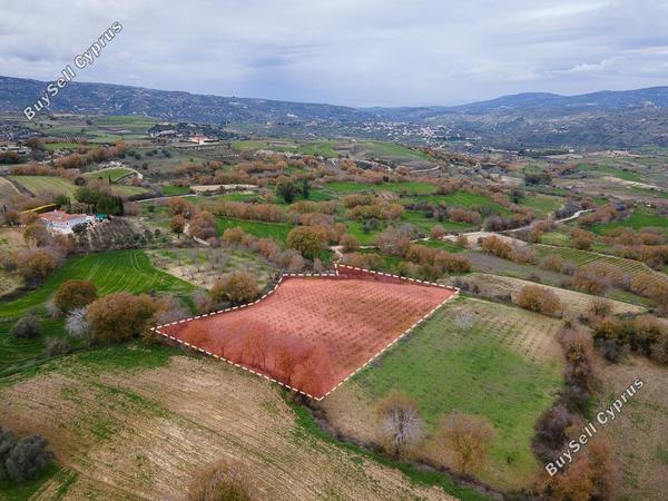 land for sale stroumbi paphos 1648172 image 16009395