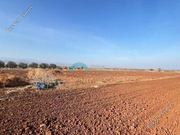 land for sale astromeritis nicosia 7463272 image 9254120