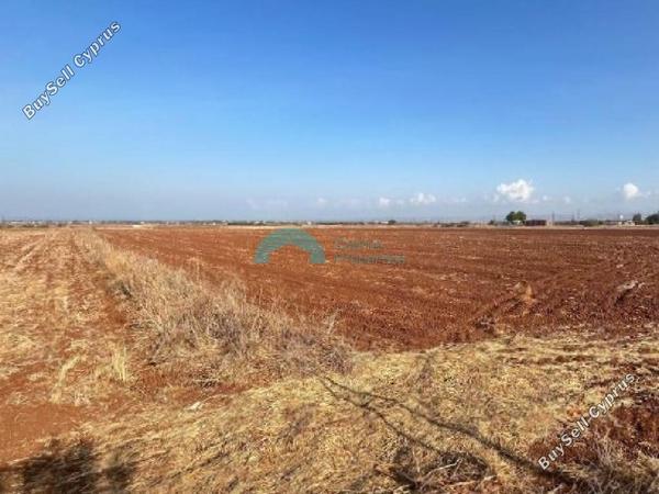 land for sale astromeritis nicosia 7463272 image 9254121
