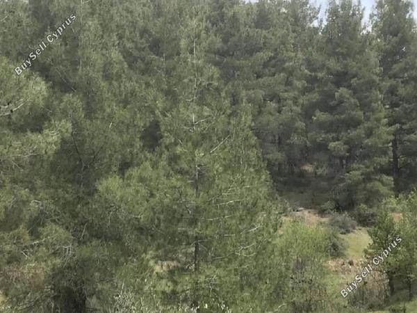 land for sale farmakas nicosia 7953272 image 13692463