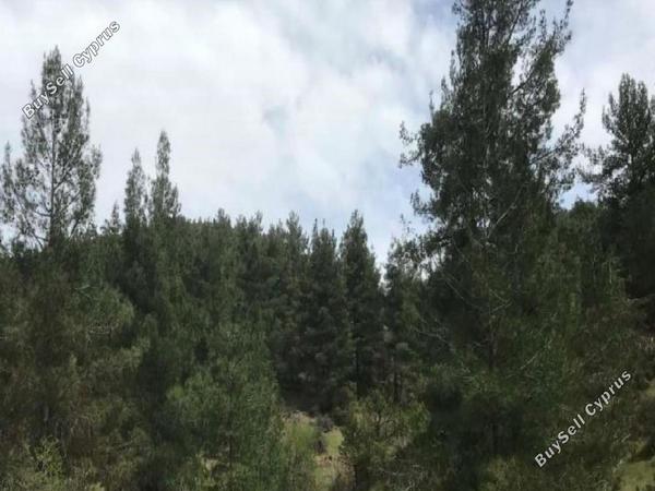 land for sale farmakas nicosia 7953272 image 13692464