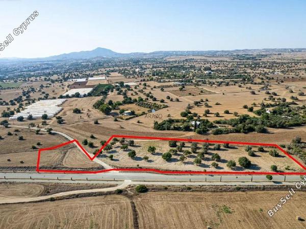 land for sale mazotos larnaca 1710272 image 5674813