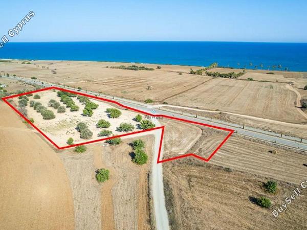 land for sale mazotos larnaca 1710272 image 5674820