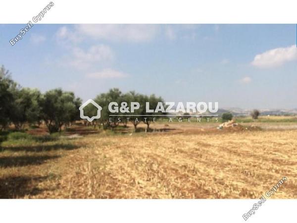 land for sale alaminos larnaca 1689372 image 14104874