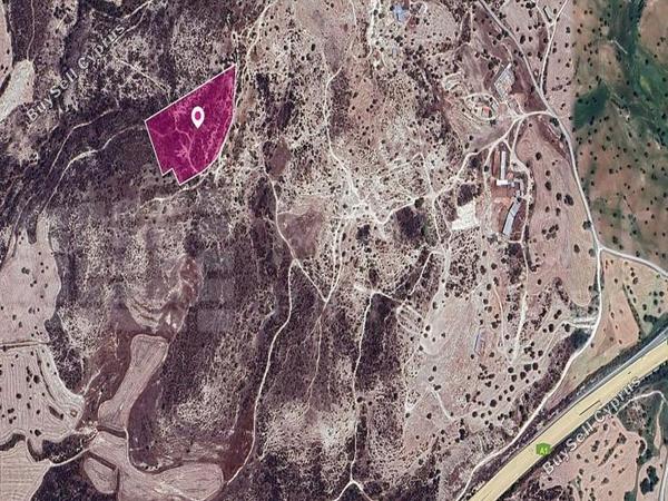 land for sale skarinou larnaca 7872372 image 14116401