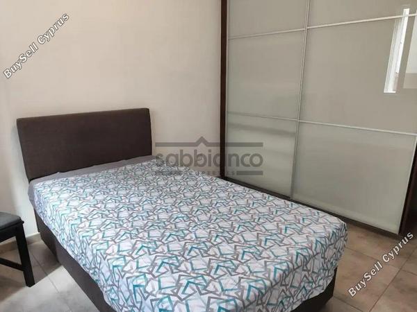 2 bedroom apartment for rent strovolos nicosia 8748472 image 16464751