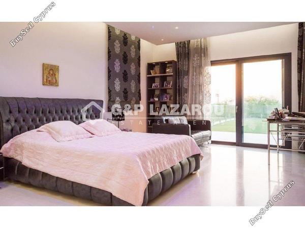 8 bedroom detached house for rent strovolos nicosia 1685472 image 9299933