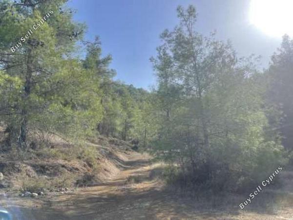 land for sale mitsero nicosia 1353472 image 6814681