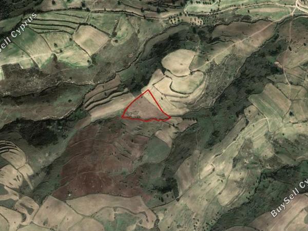 land for sale androlikou paphos 828572 image 2807444