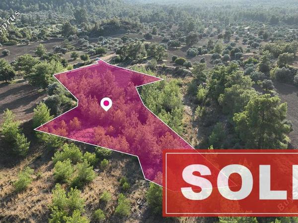 land sold kornos larnaca 1761572 image 4849736