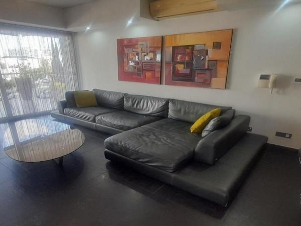 1 bedroom penthouse for rent nicosia municipality nicosia 8574672 image 16336627