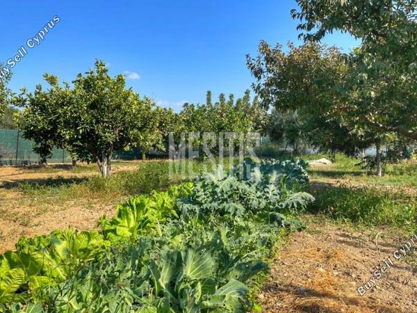 3 bedroom detached house for sale maroni larnaca 1464672 image 10505902