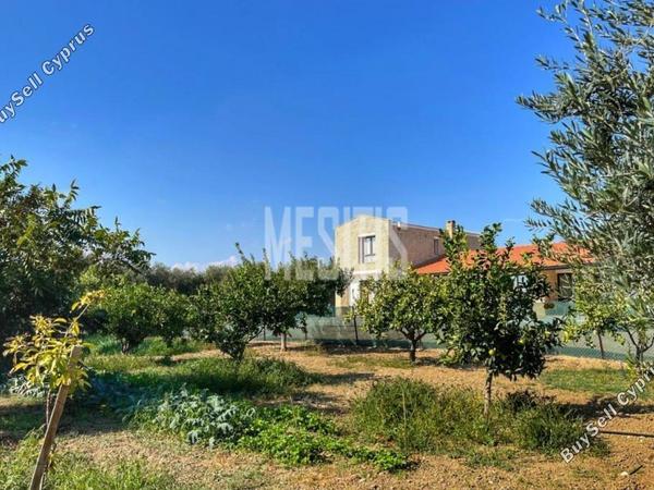 3 bedroom detached house for sale maroni larnaca 1464672 image 10505903