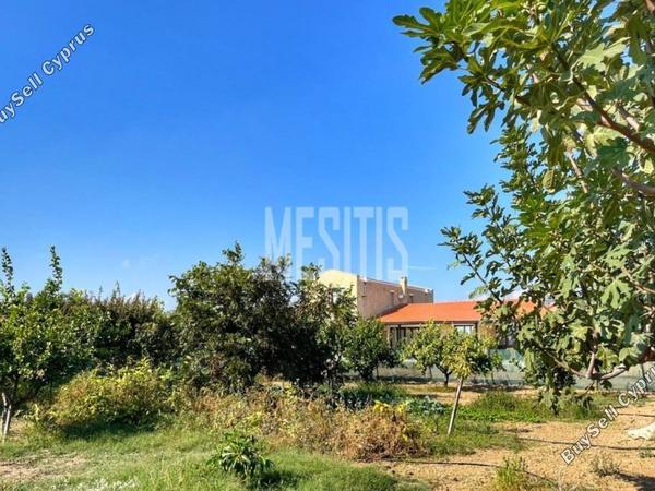 3 bedroom detached house for sale maroni larnaca 1464672 image 10505904