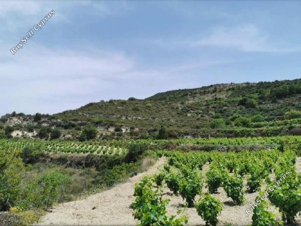 land for sale pachna limassol 8785672 image 16656221