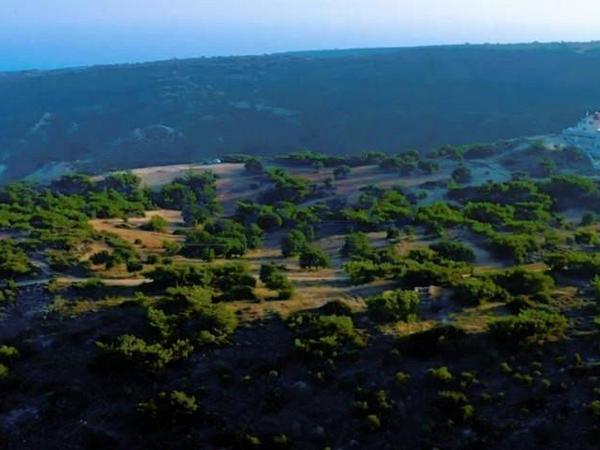 land for sale pissouri limassol 1736672 image 5732480