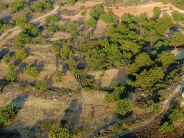 land for sale pissouri limassol 1736672 image 5732484