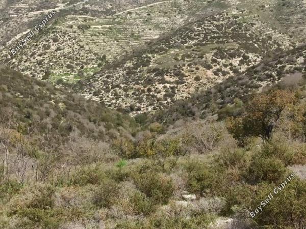 land for sale akoursos paphos 962772 image 17227998