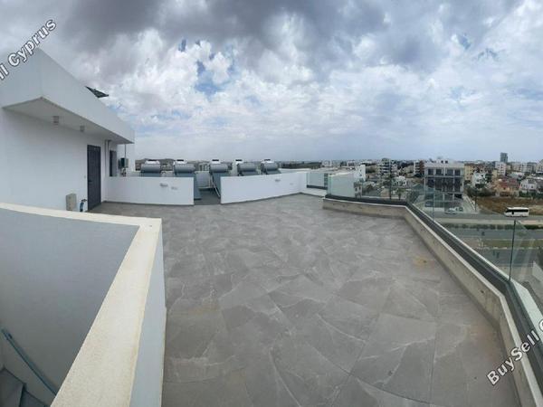 2 bedroom apartment for rent larnaca municipality larnaca 8698872 image 16209594