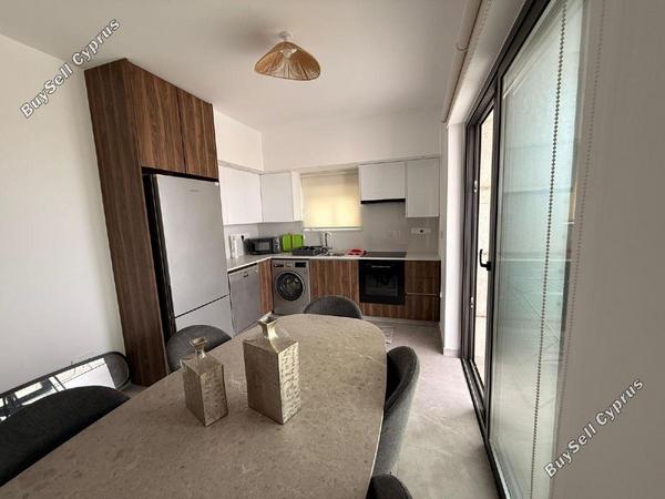 2 bedroom apartment for rent larnaca municipality larnaca 8698872 image 16209602