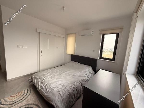 2 bedroom apartment for rent larnaca municipality larnaca 8698872 image 16209608