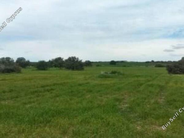 land for sale agios theodoros larnacas larnaca 830872 image 1056790