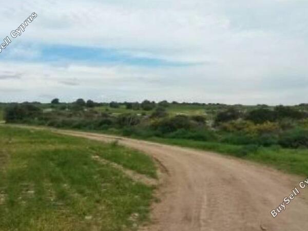 land for sale agios theodoros larnacas larnaca 830872 image 1056791