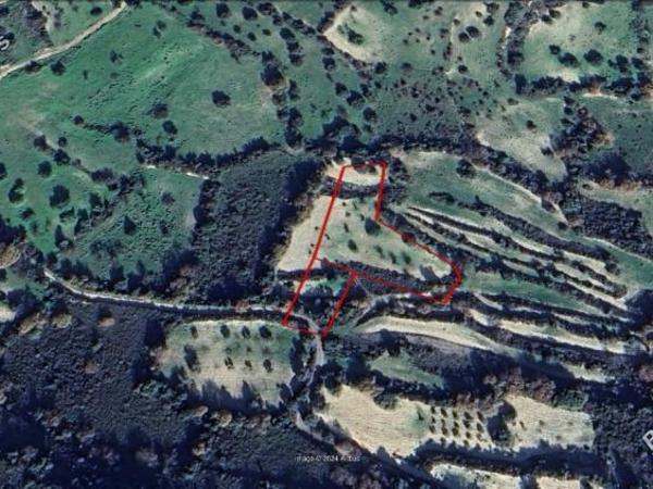 land for sale kato lefkara larnaca 1337872 image 5248712