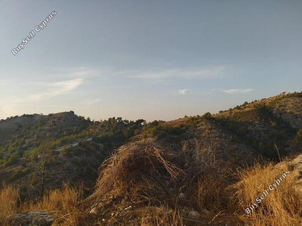 land for sale pentalia paphos 1684872 image 4406673