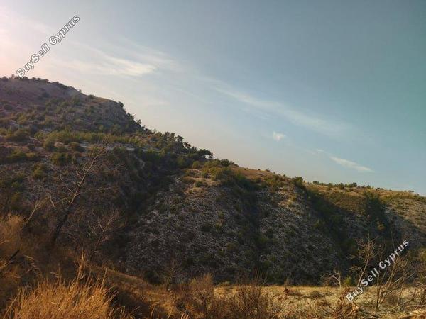 land for sale pentalia paphos 1684872 image 4406674