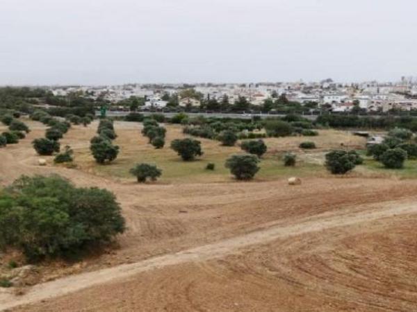 plot for sale latsia nicosia 1399872 image 16174235