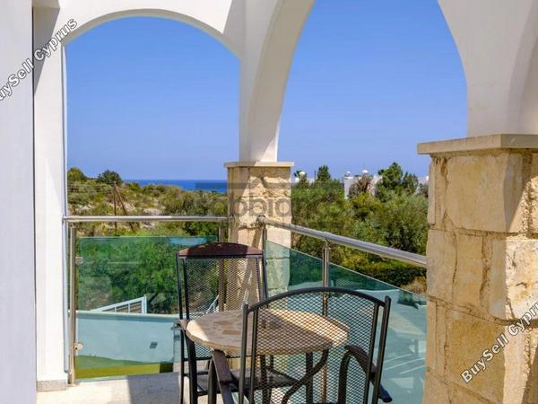 1 bedroom apartment for sale poli chrysochous paphos 8748972 image 16470243