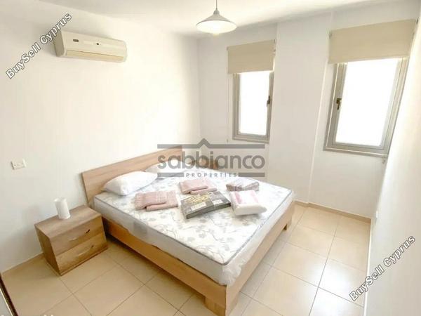 2 bedroom apartment for rent faneromeni larnaca 8738972 image 16365970