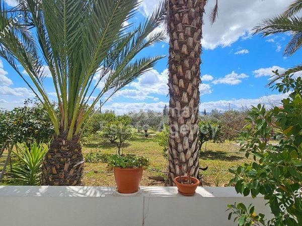 5 bedroom detached house for sale pano deftera nicosia 1331972 image 7285737