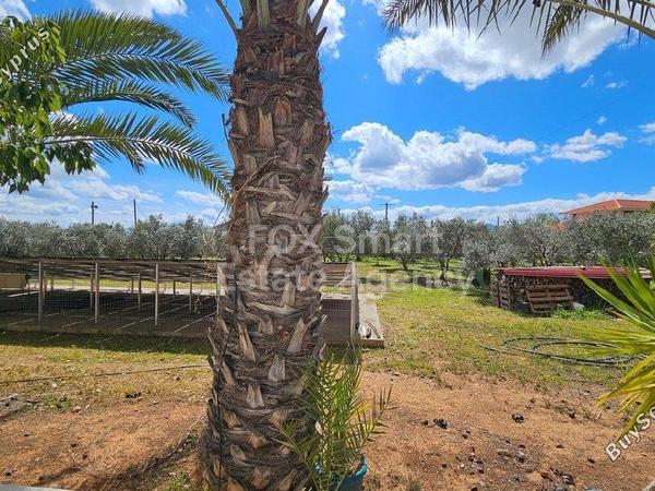 5 bedroom detached house for sale pano deftera nicosia 1331972 image 7285739