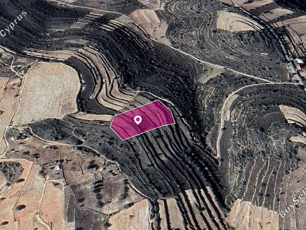 land for sale pachna limassol 1104972 image 13346733