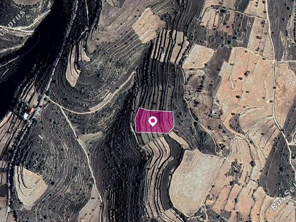 land for sale pachna limassol 1104972 image 13346737