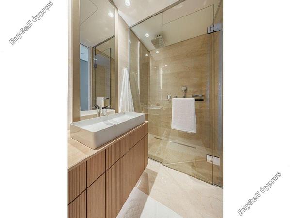 1 bedroom apartment for rent mouttagiaka limassol 1598082 image 16333947